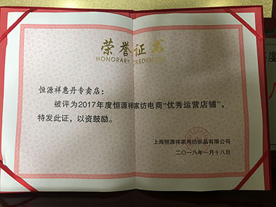 2017年电商优秀运营店铺